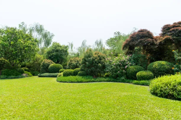 front or back yard, lawn, mowing, formal garden, house